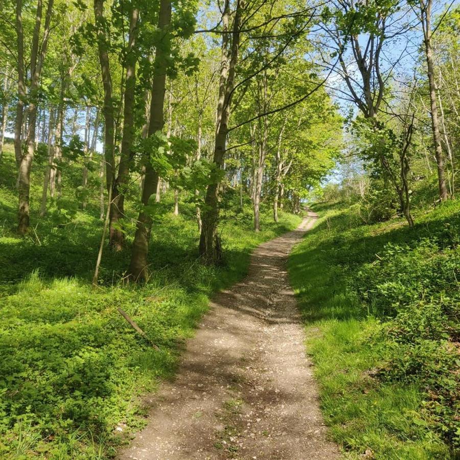 Holly Cottage, Hidden Gem In The Yorkshire Wolds Welton  외부 사진