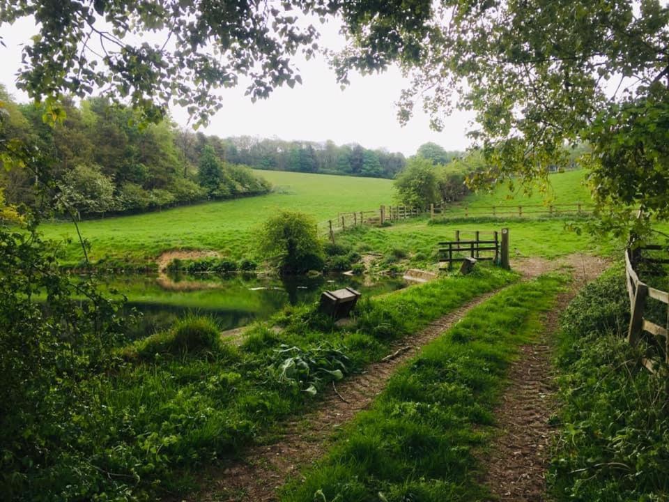 Holly Cottage, Hidden Gem In The Yorkshire Wolds Welton  외부 사진