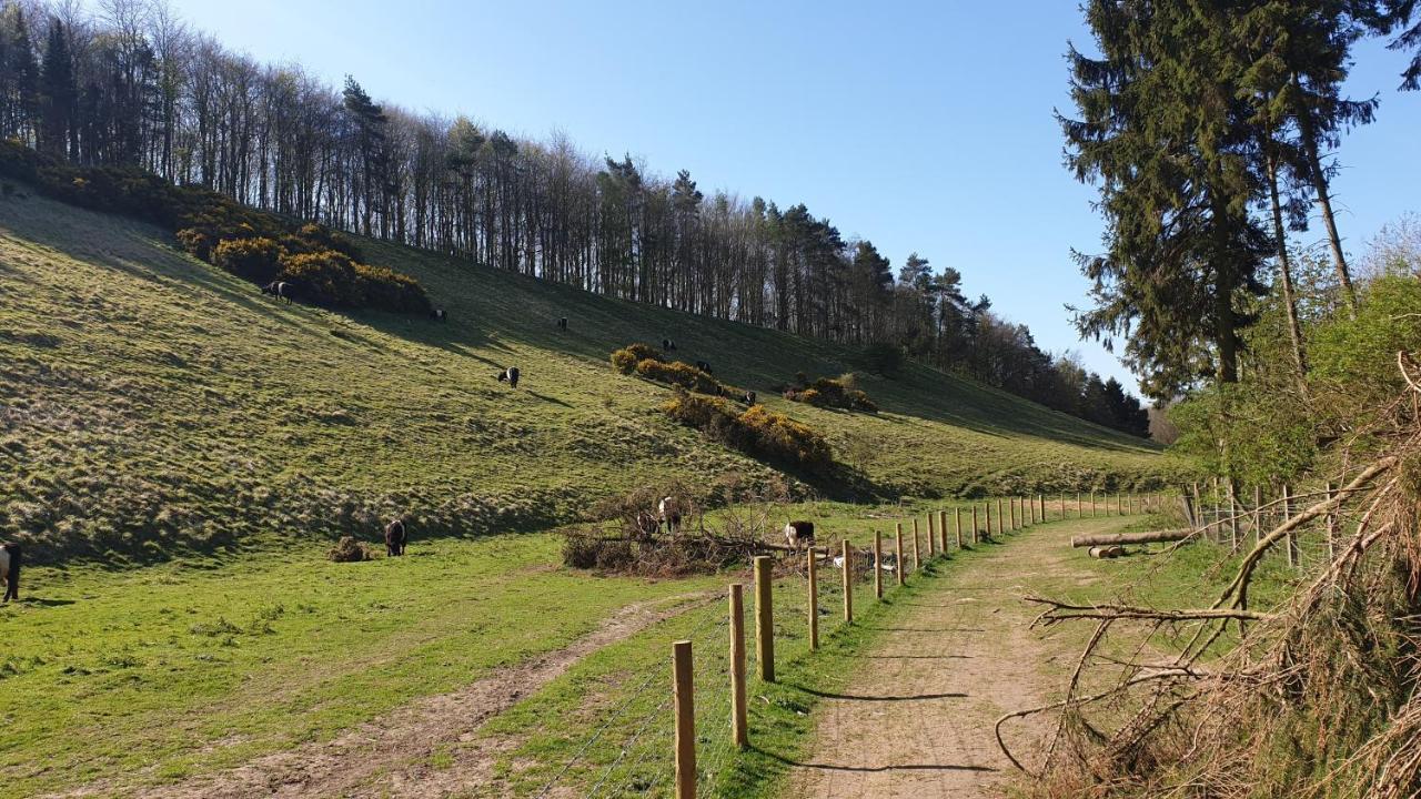 Holly Cottage, Hidden Gem In The Yorkshire Wolds Welton  외부 사진